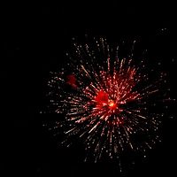 2026���������̻���