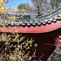 ף������꼪��