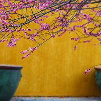 ����֪ʱ��