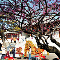 ���ٹ���÷ӭ�´�