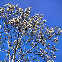 ���������������