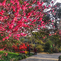 �������˫��販��