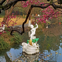 �������۹�԰ʢ���ĺ�÷