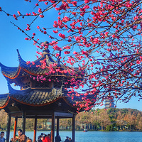 ��������߳���