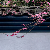 ��ɽ������÷������ǽ���������������㸡����һ���֡�������