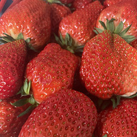 ���´����÷��һ����