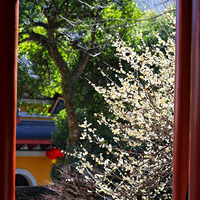 ����ʱ��