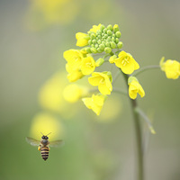 ���µĻ����ݲ�