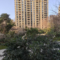 ���ݱ��ش���δ���г������첻���޵�����Ů��飬������