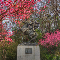 ���³��߹�ɽ��÷