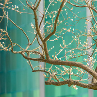 ֻ�����̣����ϣ����  ��÷  ��÷