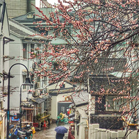 ���³�������ɽ��������¥