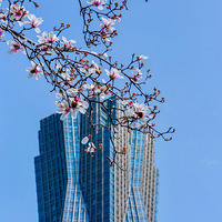 ���������Ļ��㳡��������