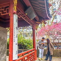 ����÷����÷ʯԷ��÷ʤ�أ�