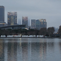 ��Ӱ����2602 ��ľ�����