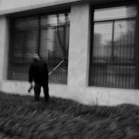 ����һ���ڰ׵���