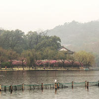 ���³�ʮ�����߰׵�