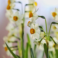 �貨���ӣ�1��