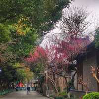 ����ʮһ�ߴ��˺ӹ����