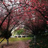 ʪ������