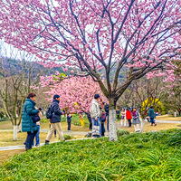 ̫������ӣ������ӣ��ŭ�ţ�