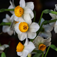 �貨���ӣ�2��