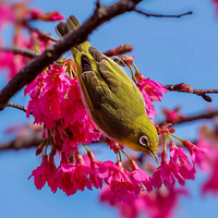 ����˽��