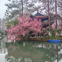 ����ʥ�������ķ粨ͤ�ԣ�÷��ʢ����