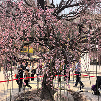 �����Ϫ������ɽ��ˮ�����С��û�����