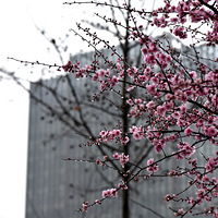 ���ഺ���е�����÷��