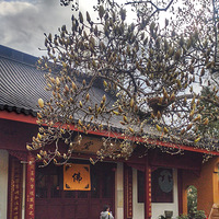 ����ʮ���������÷�ϲ��