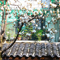 �����������1��