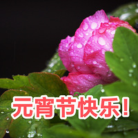 Ԫ���ڿ��֣�