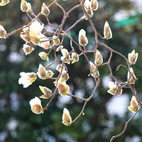 ����������2��