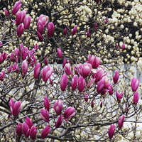 ����·�϶˵�������