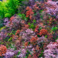 �ؾ������ֵ�ɽ������ʱ��һ��