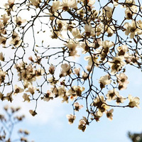 ����������3��