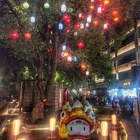 Ԫ��ҹ�κӷ���