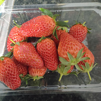 �����Ҹ�����Ů��һ�����������ӣ���������ϵ��