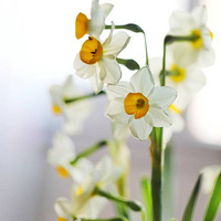 �貨���ӣ�3��