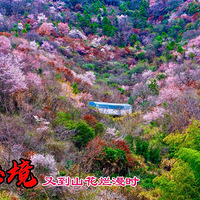 �ؾ������ֵ�ɽ������ʱ������