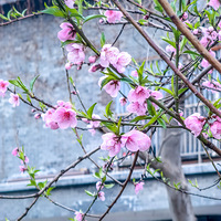 ���Ӷ��������������һ�ʢ����