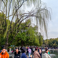 ���ڼ��ڽ����������������ȷ���������������֯��