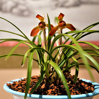 ��ׯ���ݴ�����Ʒչ