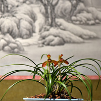 ��ׯ����չ��