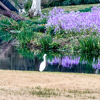 ������ݺ����������������