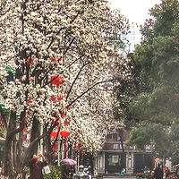 ����ʮ�˴�����·