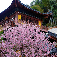 ������侲ر��أ����۽�����ӣ�ѱ�����