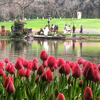 ����ʮ��̫�������������