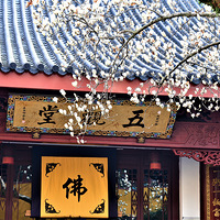 ��ϲ��500�������������